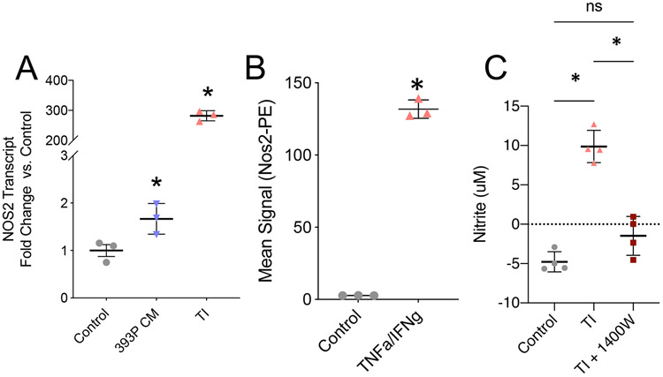 Figure 3: