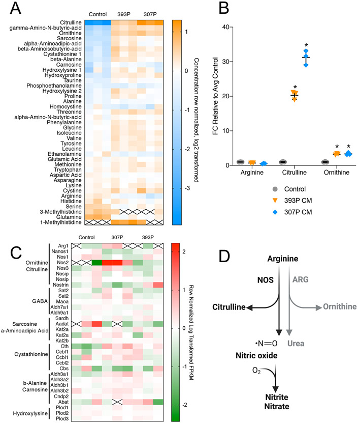 Figure 2: