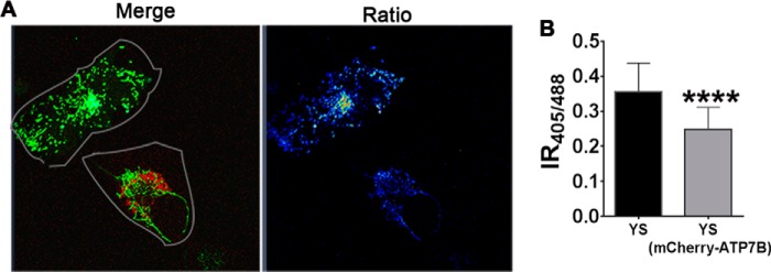 FIGURE 6.