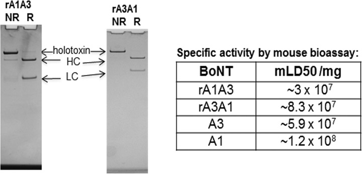 FIG 2 