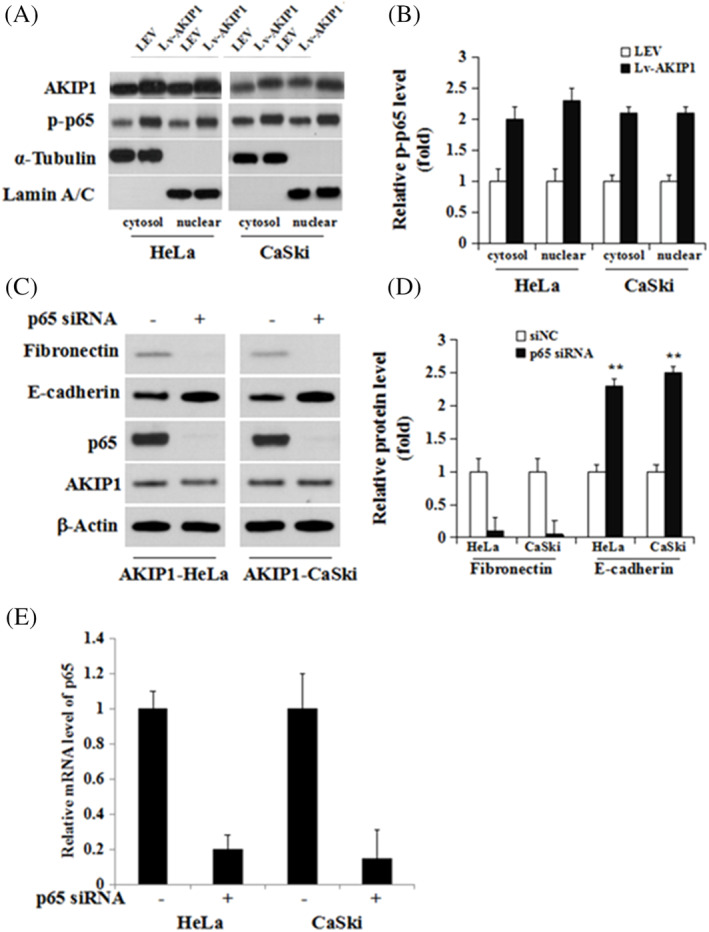 FIGURE 4