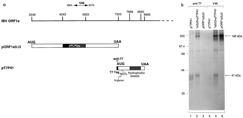 FIG. 8