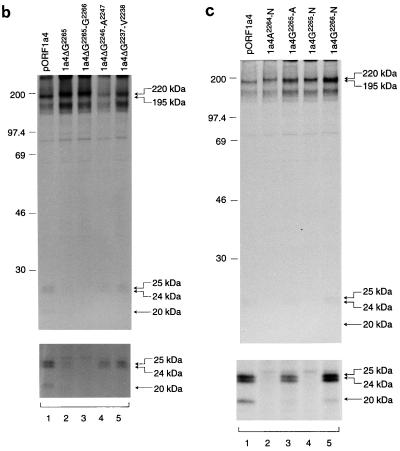 FIG. 5