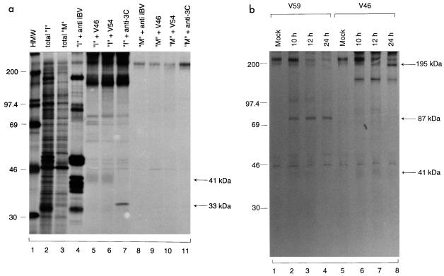 FIG. 9