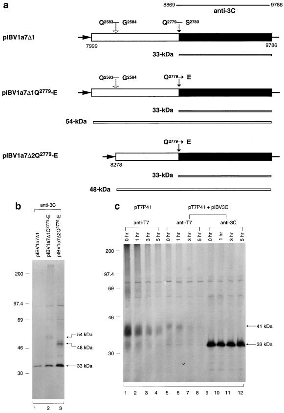 FIG. 6