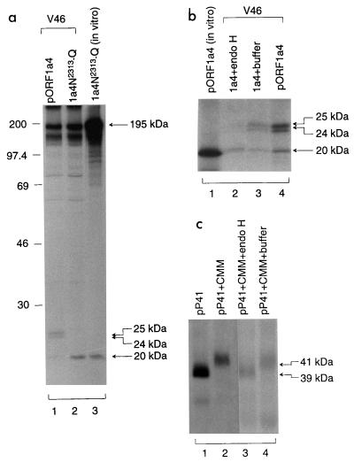 FIG. 7