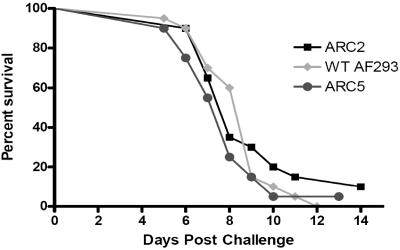 FIG. 5.