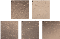 Fig. (1)