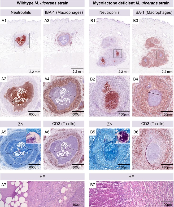 Fig 5