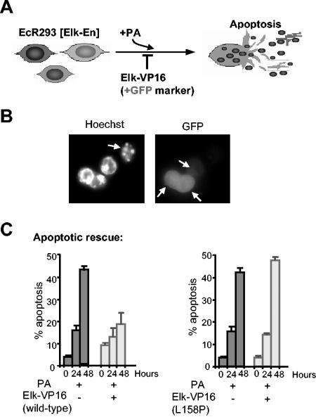 FIG. 6.