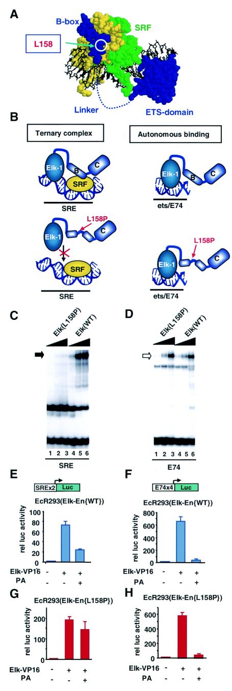 FIG.4.