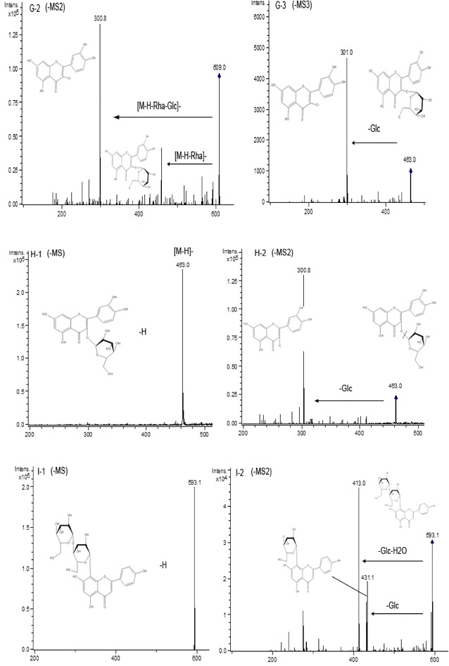 Fig. 7