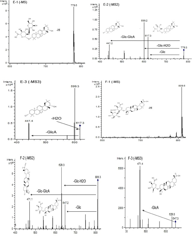 Fig. 11