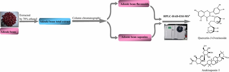 Graphical abstract