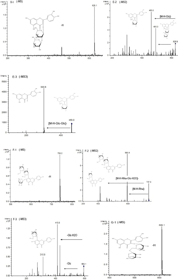 Fig. 6