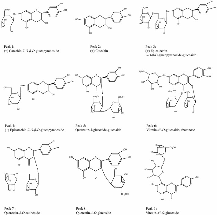 Fig. 4