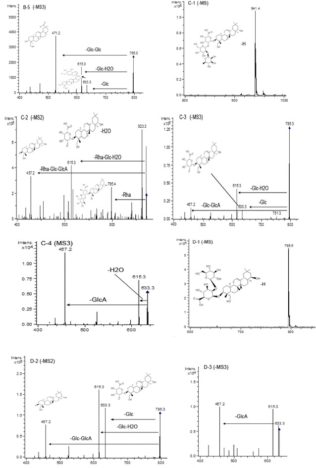 Fig. 10