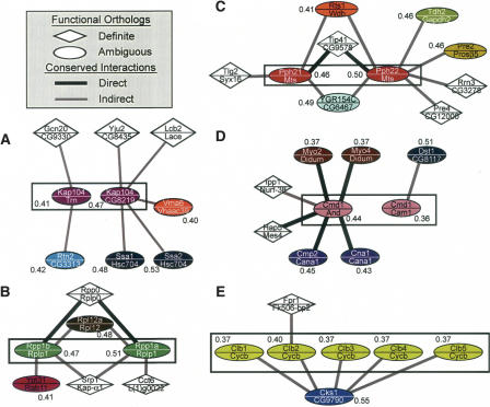 Figure 4.