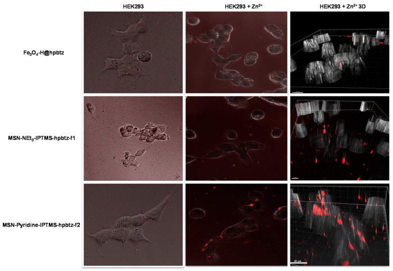 Figure 17