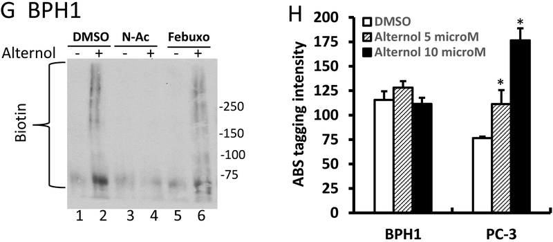 Fig 6.