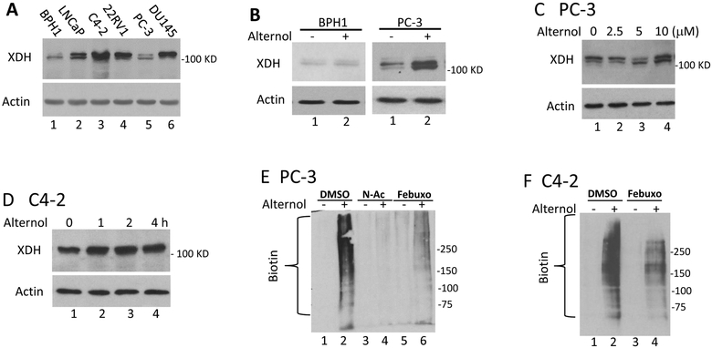 Fig 6.