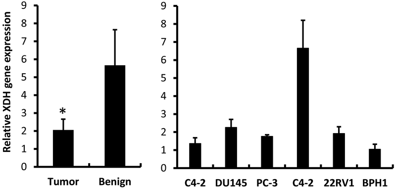 Fig 5.