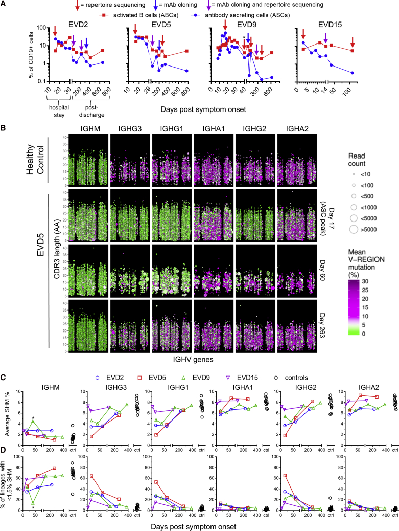 Figure 2