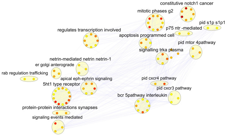 Figure 11. 