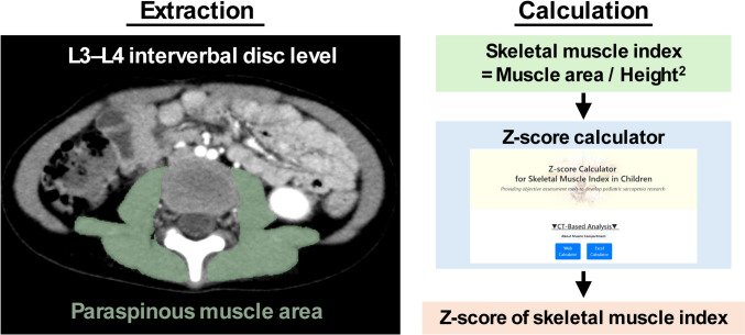 Fig. 1