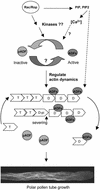 Figure 6.