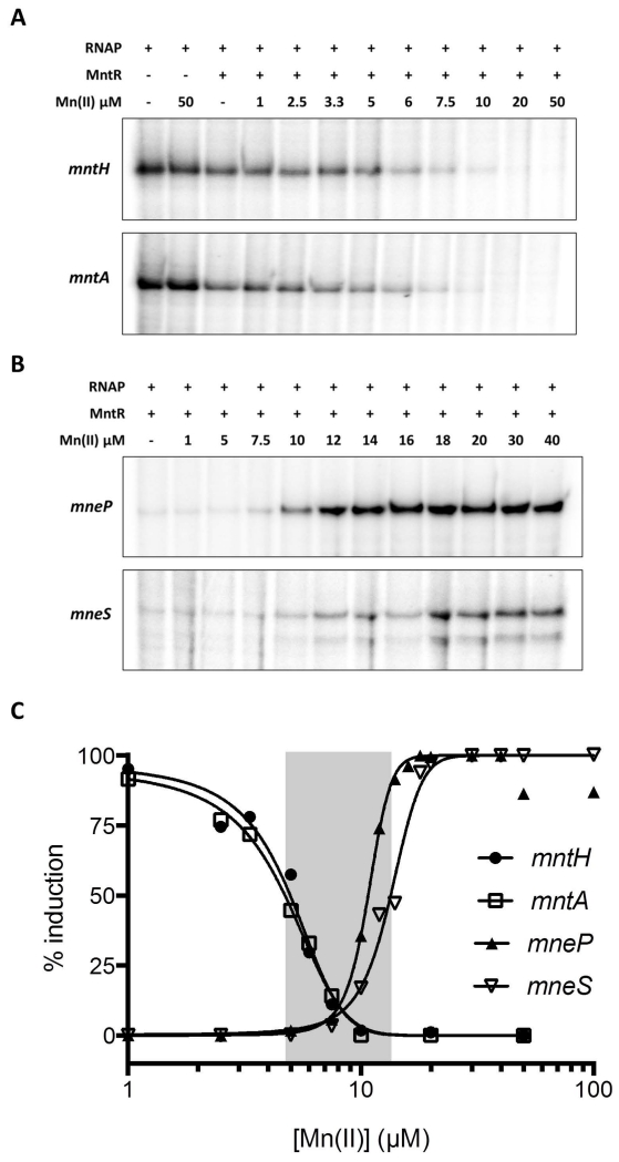 Fig. 8