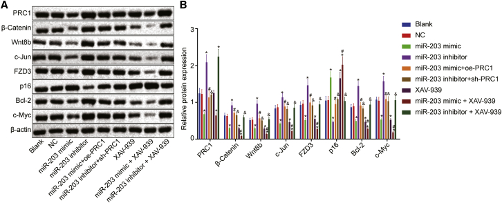 Figure 6