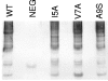FIG. 6.