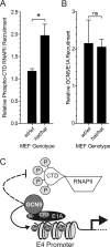 Fig 9