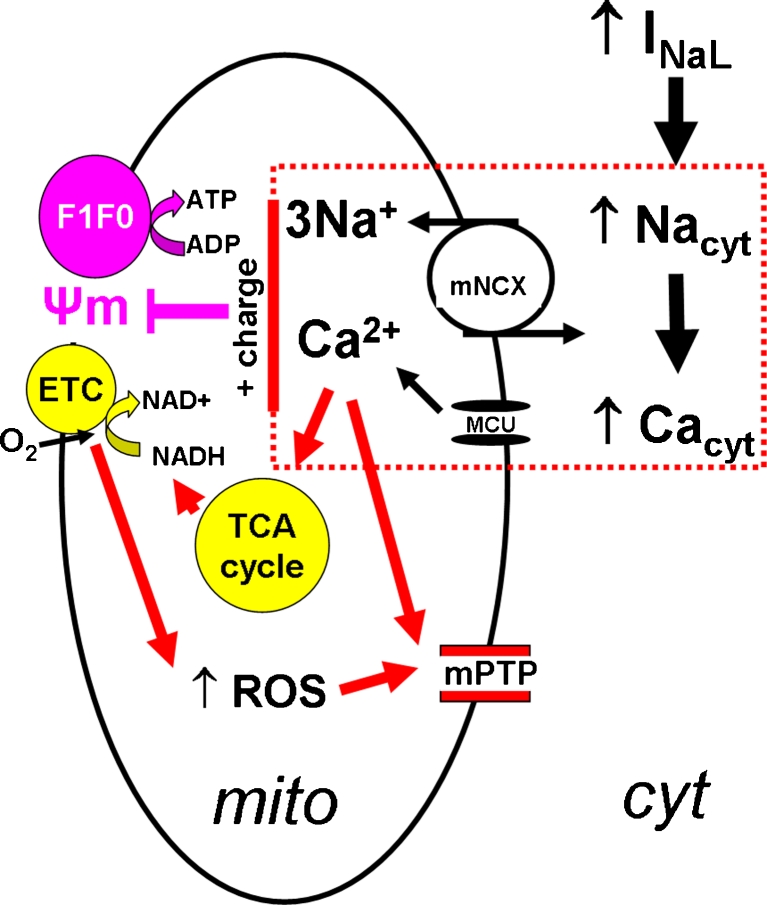 Fig. 4