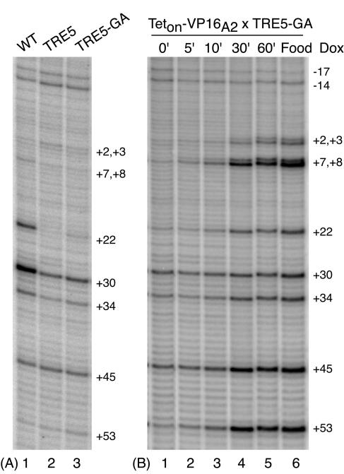 FIG. 6.