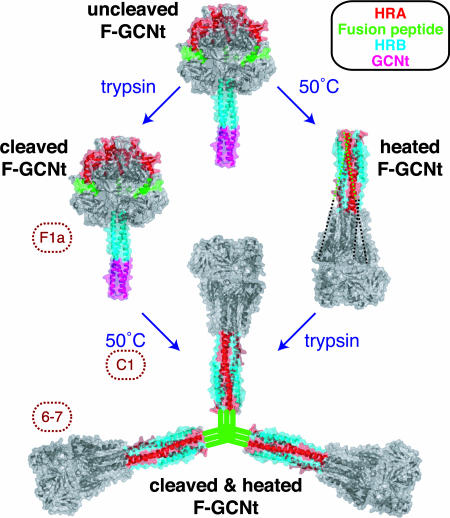 Fig. 6.