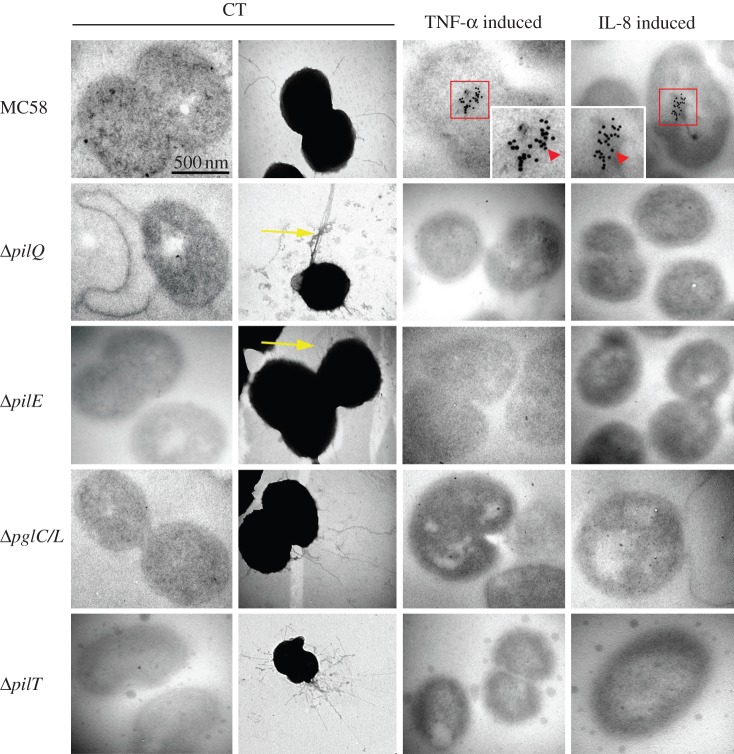 Figure 3.