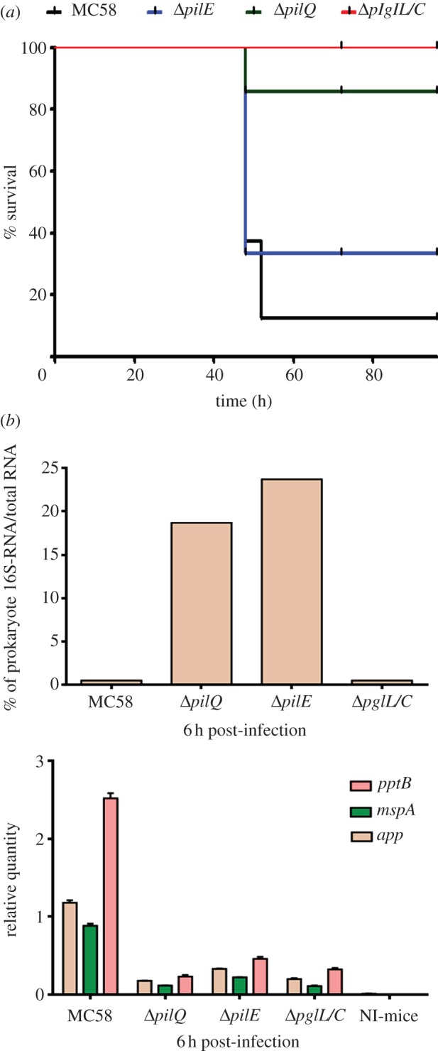 Figure 6.