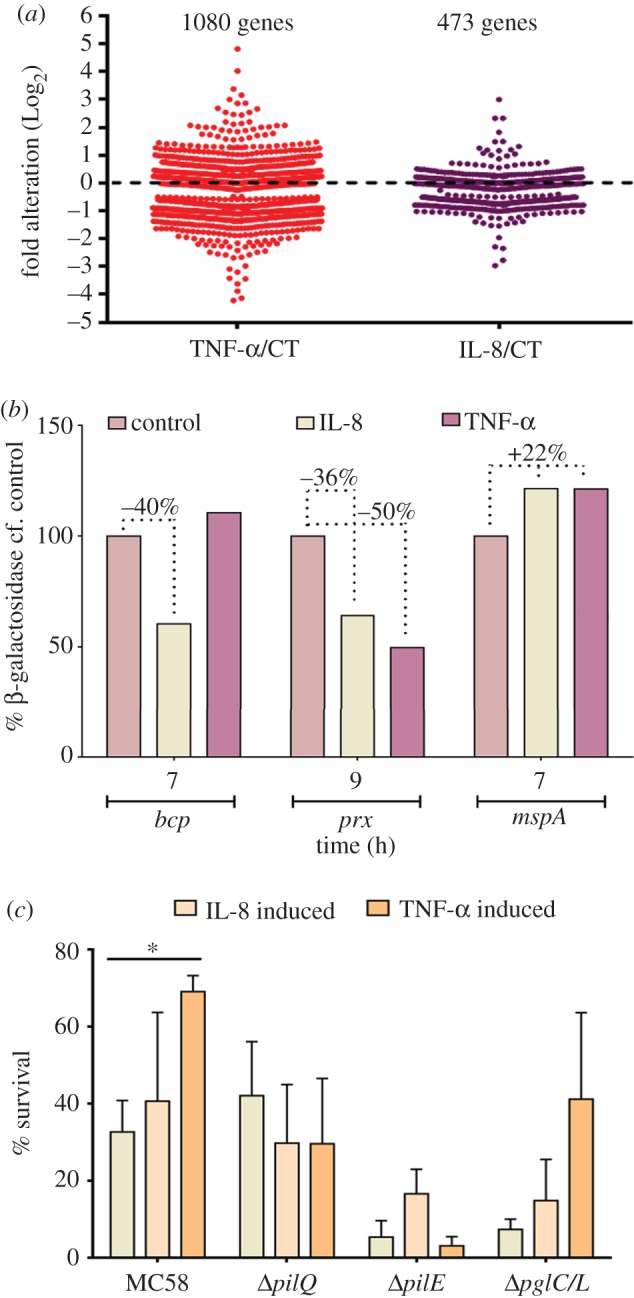 Figure 2.