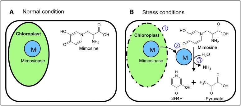 Figure 9.