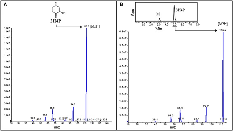 Figure 5.