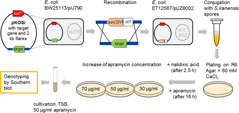 FIG 2