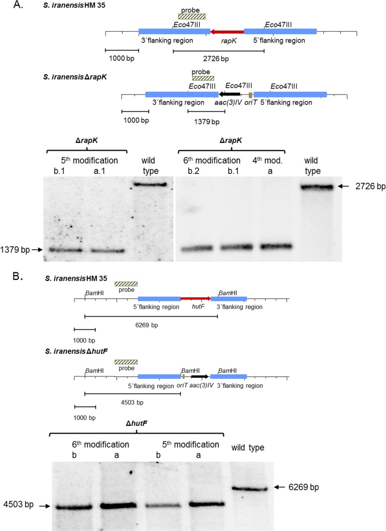 FIG 4