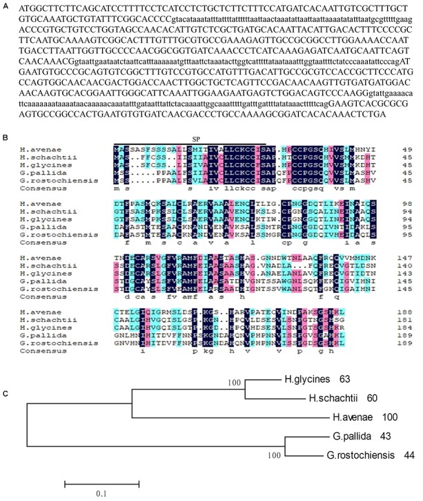 FIGURE 1