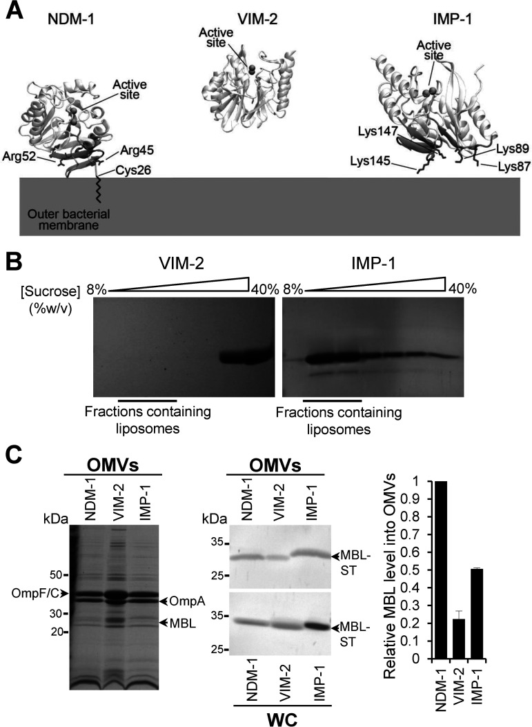 FIG 2