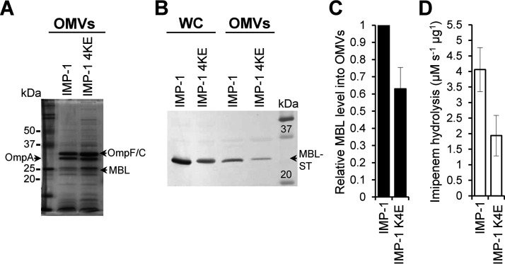 FIG 3