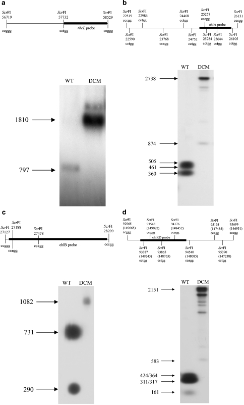 Fig. 4