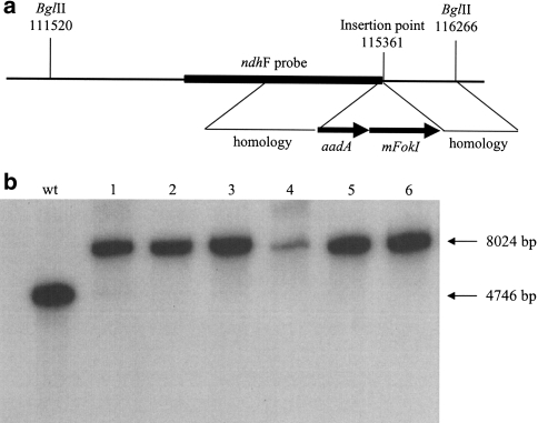 Fig. 1