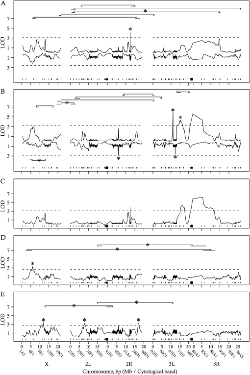 Figure 3.—